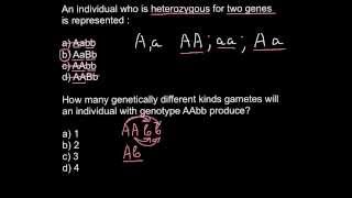 Heterozygosity Homozygosity problem and solution [upl. by Ardnusal]