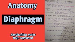 Diaphragm  Thoracoabdominal Diaphragm  Anatomy  By Namita Ussara [upl. by Enela]