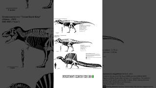 What Are The Largest Carnivorous Theropods [upl. by Ahserb951]