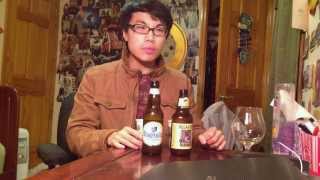 Battle Beers Witbier Edition  Hoegaarden vs Allagash White  Ep 84 [upl. by Cade]