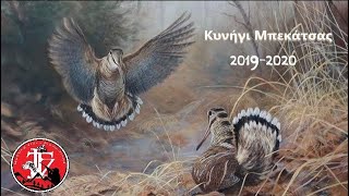 ΚΥΝΉΓΙ ΜΠΕΚΑΤΣΑΣ 2020 BECCACCIA HUNTING 2020 CACCIA ALLA BECCACCIA 2020Chasse de la Becasse 2020 [upl. by Aymik886]