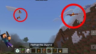 Fire Birds in Minecraft [upl. by Rotsen]