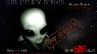 Alien Capturado en brasil OxlackCastro COMPARTELO [upl. by Grizel]