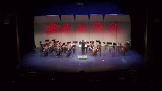 Youth Dance Xinjiang Folk Song  OCMS Youth String Orchestra [upl. by Fowkes]