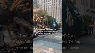 Rockefeller Christmas Tree Arrives in New York City [upl. by Trenton7]