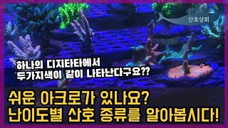 쉬운 아크로는 뭐가 있을까요 난이도별 산호 종류를 알아봤습니다 산호상회 ep13 [upl. by Bartel]