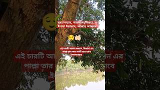 💯 সৈয়দ মোকাররম বারী এর শর্ট ওয়াজ  shortvideos dua quranrecitation [upl. by Ferullo244]