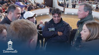 Tattersalls October Yearling Sale Book 1 Day 1 Review 2024 [upl. by Adialeda]