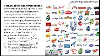 Ch3 L4c Departmentalization Divisional Structure of Unilever Course Intro to Busi PRC5 [upl. by Antonina]