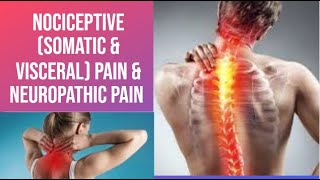 Nociceptive Somatic amp Visceral Pain amp Neuropathic Pain  PhysiotherapyKnowledge [upl. by Eglantine922]