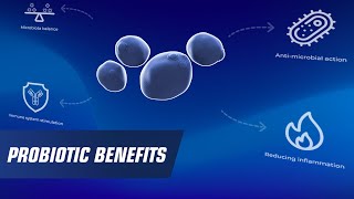 Probiotic benefits [upl. by Enert]