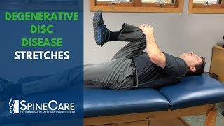 Degenerative Disc Disease Stretches  SpineCare Chiropractic in St Joseph MI [upl. by Mela373]