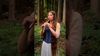 ‘The Lilting Banshee’  a traditional Irish jig ☘️🎶 tinwhistle shorts [upl. by Akira]