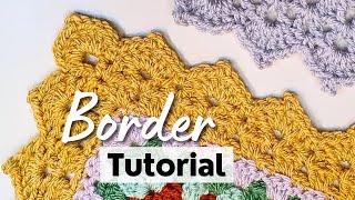 Crochet Blanket Border Tutorial  EASY StepbyStep Instructions [upl. by Peterus145]