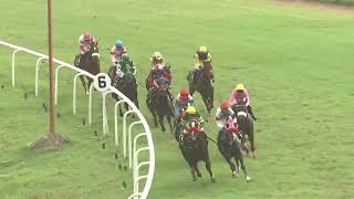 BRILLIANT LIGHT with P Kiran Rai up wins The Coorg Plate Div1 2024 RACE 58 [upl. by Amathist935]