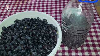 SİYAH ZEYTİN KURULUMU ZEYTİN Zeytinkurulumu HOMEMADEBLACKOLIVES [upl. by Acirdna]