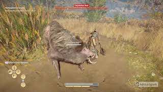 How to defeat the Kalydonian Boar  Assassins Creed Odyssey [upl. by Loring]