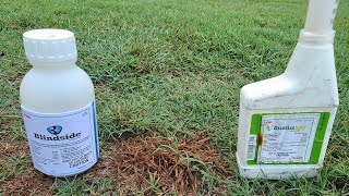 2 Products To Kill Weeds Fast WITHOUT Killing the Grass [upl. by Westerfield477]