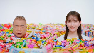 出川哲朗、お菓子に埋もれてシュールな一言！？注目の若手俳優・畑芽育とCM初共演 ブルボン プチシリーズ 新TVCM [upl. by Kcire]