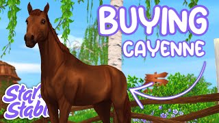 BUYING CAYENNE ⭐ Star Stable Gameplay Roleplay [upl. by Sheelagh]