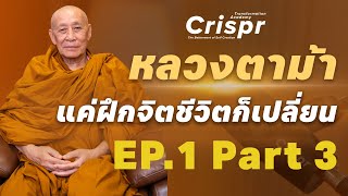 หลวงตาม้า แค่ฝึกจิตชีวิตก็เปลี่ยน EP1 Part3  Crispr Transformation Academy [upl. by Francklin752]