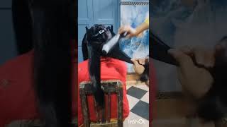 Blow dryer setting youtube shots viral [upl. by Dadelos]