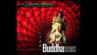 TIBETS SUN  BIYABA BUDDHA EDIT [upl. by Annaoj161]