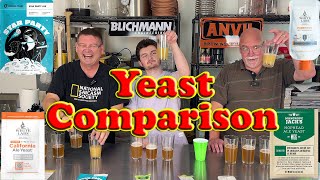 4 Yeasts Face Off in an Epic Cold IPA Battle [upl. by Box]