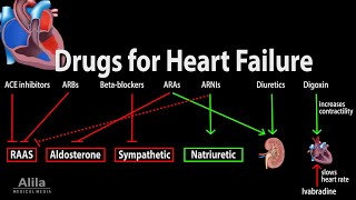 Pharmacology Drugs for Heart Failure Animation [upl. by Adnawaj]