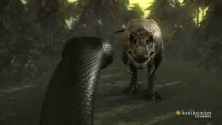 Titanoboa Monster Snake Titanoboa vs T Rex [upl. by Winton]