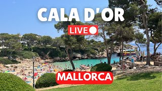 🔴LIVE in CALA DOR Mallorca Majorca  5 May 2024 [upl. by Pownall]