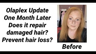 Olaplex Update  One Month Later Before And After [upl. by Eatnoled633]