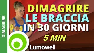 5 Minuti di Esercizi per Dimagrire le Braccia in un Mese [upl. by Horwath336]