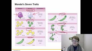 BIOL 1406 Chapter 12 Part 1 Recorded Lecture [upl. by Pearlstein857]