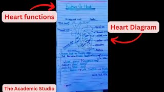 Human heart Function  Chapter Circulation Video  2 [upl. by Enirroc]