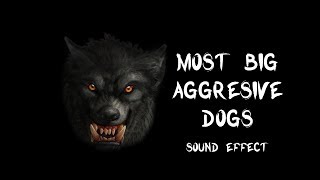 Most big aggressive dogs bark amp growl  True recording sound effects HQ [upl. by Ingeborg]