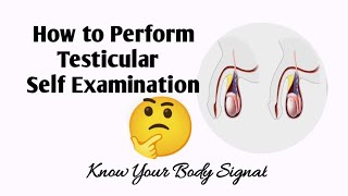 How To Perform Testicular Self Examination [upl. by Hicks180]