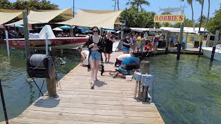 Florida Keys  Key Largo Islamorada [upl. by Ashraf]