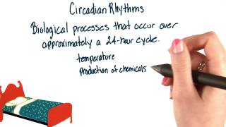 Circadian rhythms  Intro to Psychology [upl. by Nagaek239]