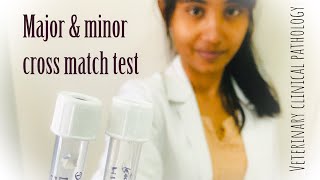 Cross match test major and minor [upl. by Spurgeon]