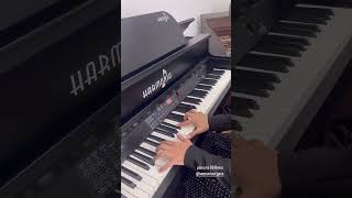 Esterzinha mostrando o piano Harmonia HS88 ROMA [upl. by Demp425]