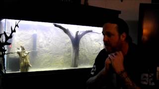 Cycle a freshwater aquarium using ammonia [upl. by Atlee]