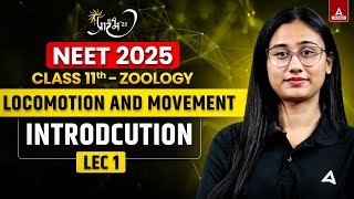 LOCOMOTION AND MOVEMENT CLASS 11  NEET 2025  INTRODUCTION  MUSCULAR SYSTEM [upl. by Alegnat773]