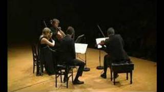 Henschel Quartet live in Tokyo  Janacek Kreutzersonata 2 [upl. by Luapnhoj]