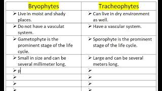 Difference between Bryophytes and tracheophytes [upl. by Nnylatsyrk]