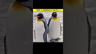 जानवरों के अनोखे facts 🤯  facts animals viralvideo shorts youtubeshorts 👹 [upl. by Jillie]