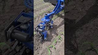 Swinging Spider Actuators Prototype weedcontrol organic mechanicalweedcontrol farmequipment [upl. by Reilly]