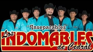 LOS INDOMABLES DE CEDRAL MIX [upl. by Ahaelam]