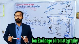 Part4 Principles of chromatography  ion exchange chromatography  Chromatography [upl. by Rayner452]