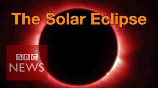 Solar Eclipse Breathtaking views witnessed by millions  BBC News [upl. by Oiramd]